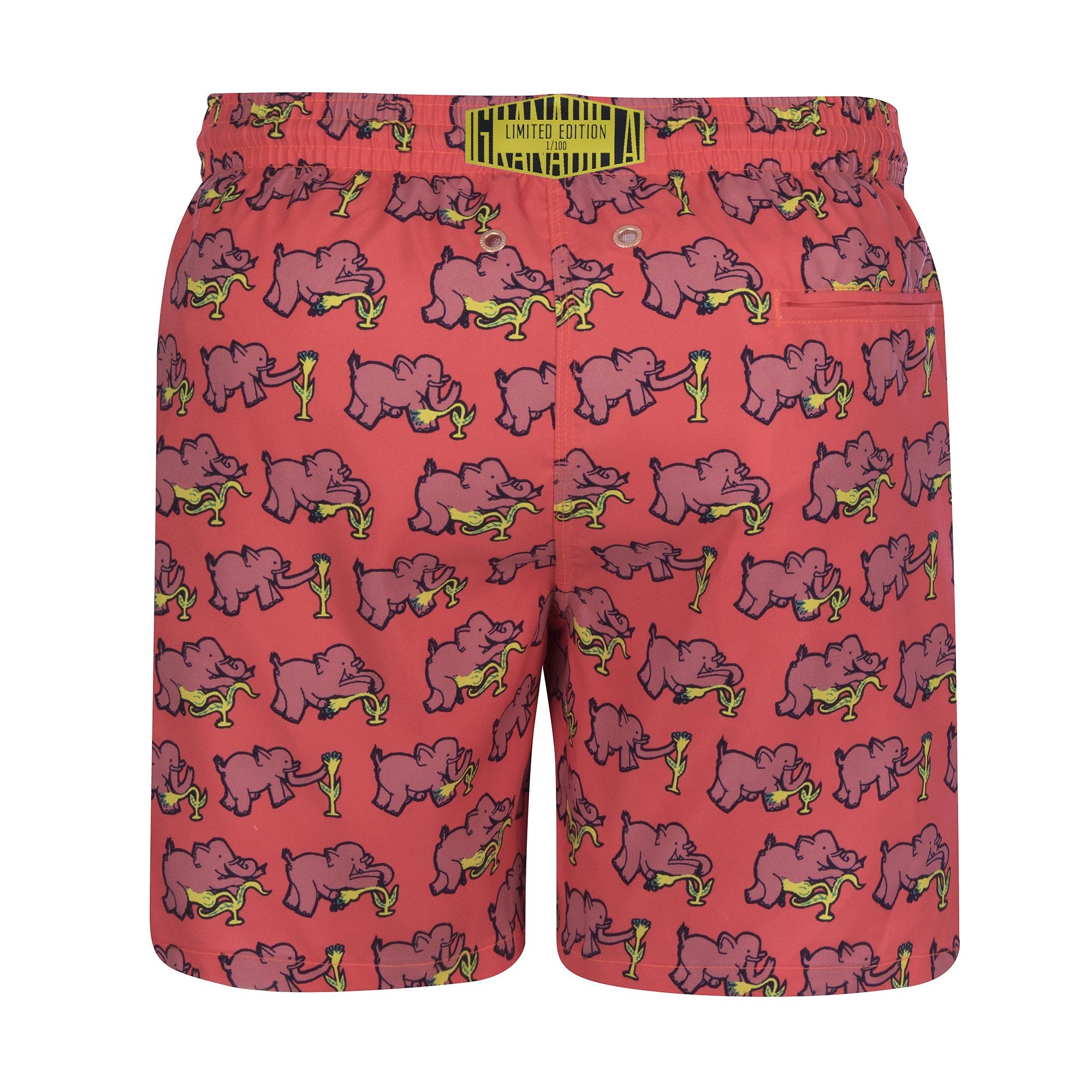 Limited Edition Wally's Wangle by Walter Battiss | Coral / Swim Shorts